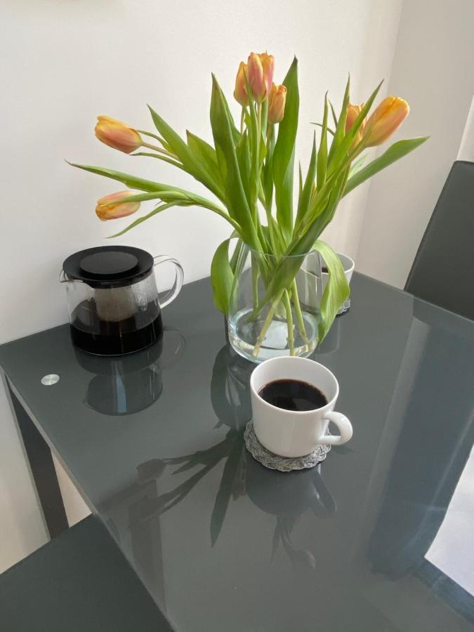 Lovely And Modern Studio Apartment. Borehamwood Exterior foto